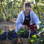 Wiege der Weinkultur: Sardinien